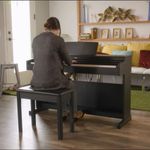 BR-YAMAHA-YDP-164-B