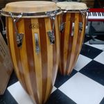 CONGA-CSR-CFS-28-MADEIRA