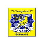 ENCORDOAMENTO-PARA-CAVACO-GIANNINI-GESCB-BOLINHA
