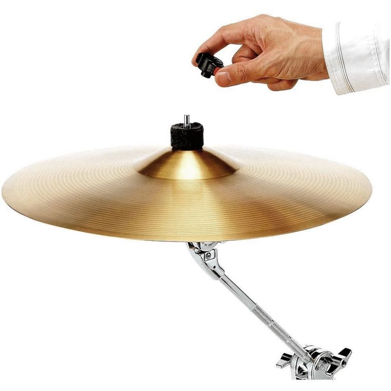 tama-Qc8-b4