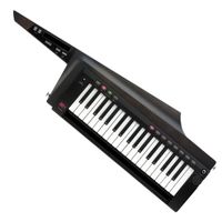 Teclado Sintetizador Korg Rk-100S-2 Bk