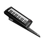 KORG-RK-100S-2-odffff