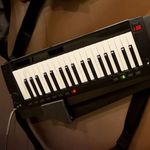 KORG-RK-100S-2