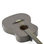 STRINBERG-FS1A-FOREST-TOS-ARTISTICO-OK