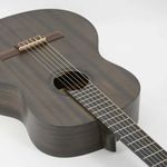 STRINBERG-FS3C-FOREST-TOS-OK