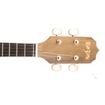CAVACO-ROZINI-RC10ACNI-ESTUDANTE-ACUSTICO-NATURAL-IMBUIA-ok