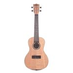 Kala-KA-CEM-Concert-Ukulele-Exotic-Mahogany--ddddr