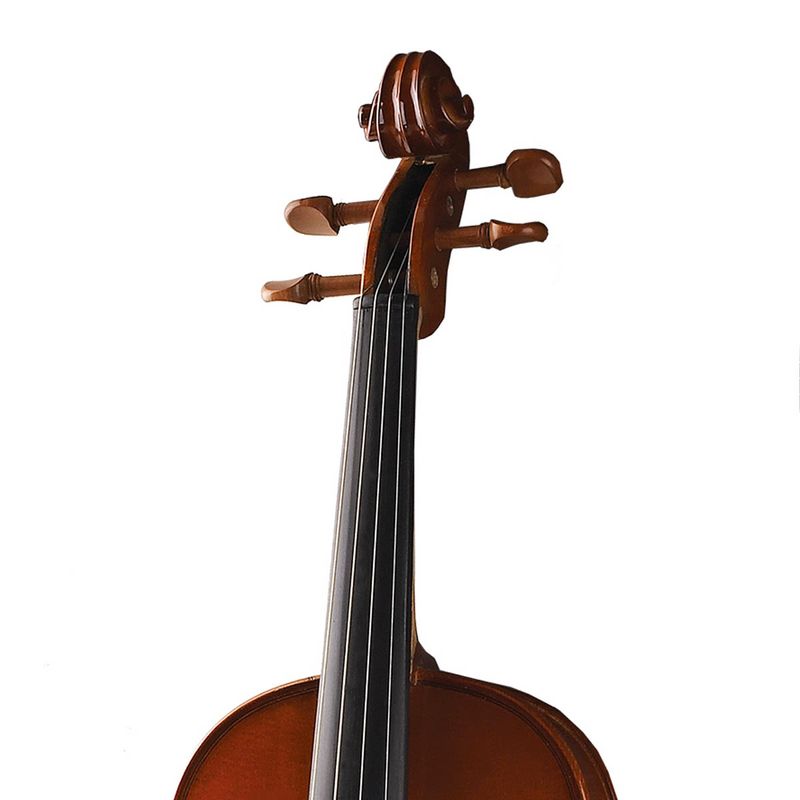 VIOLINO-MICHAEL-VNM36r