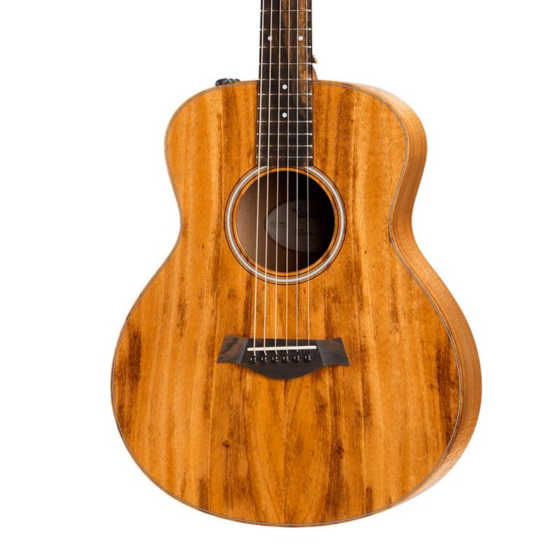 TAYLOR-GS-MINI-E-KOA-OKOK12r