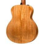 TAYLOR-GS-MINI-E-KOA-02r