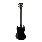 epiphone