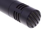 AKG-P170