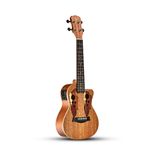 UKULELE-MALIBU-CONCERT-23MNE-vvv