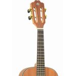 CAVACO-STRINBERG-CS-25-MGS-x5