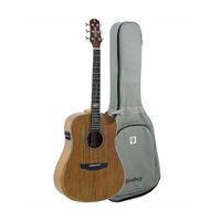 Violão Strinberg Sd301Hcr Galaxy Ws Folk Fosco