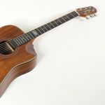 STRINBERG-SD301HCR-GALAXY-KS-FOLK-FOSC-okasas