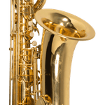 sax-baritono-michael-wsbm35n_e962