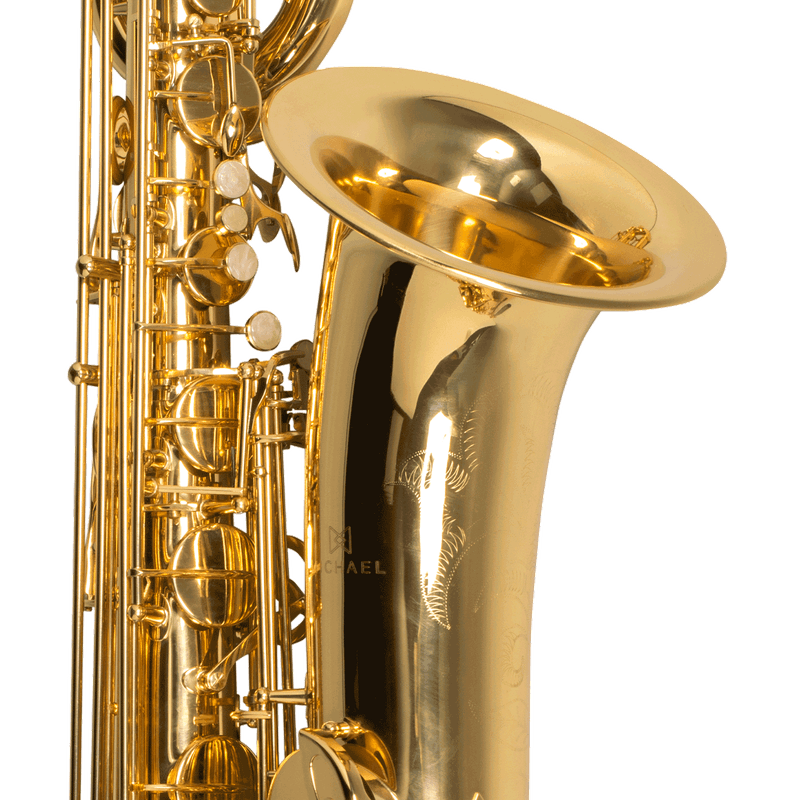 sax-baritono-michael-wsbm35n_e962