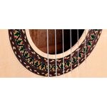 Violao-Premium-Auditorio-com-Cutaway-Nailon-RX621ATNCTLP-Mosaico