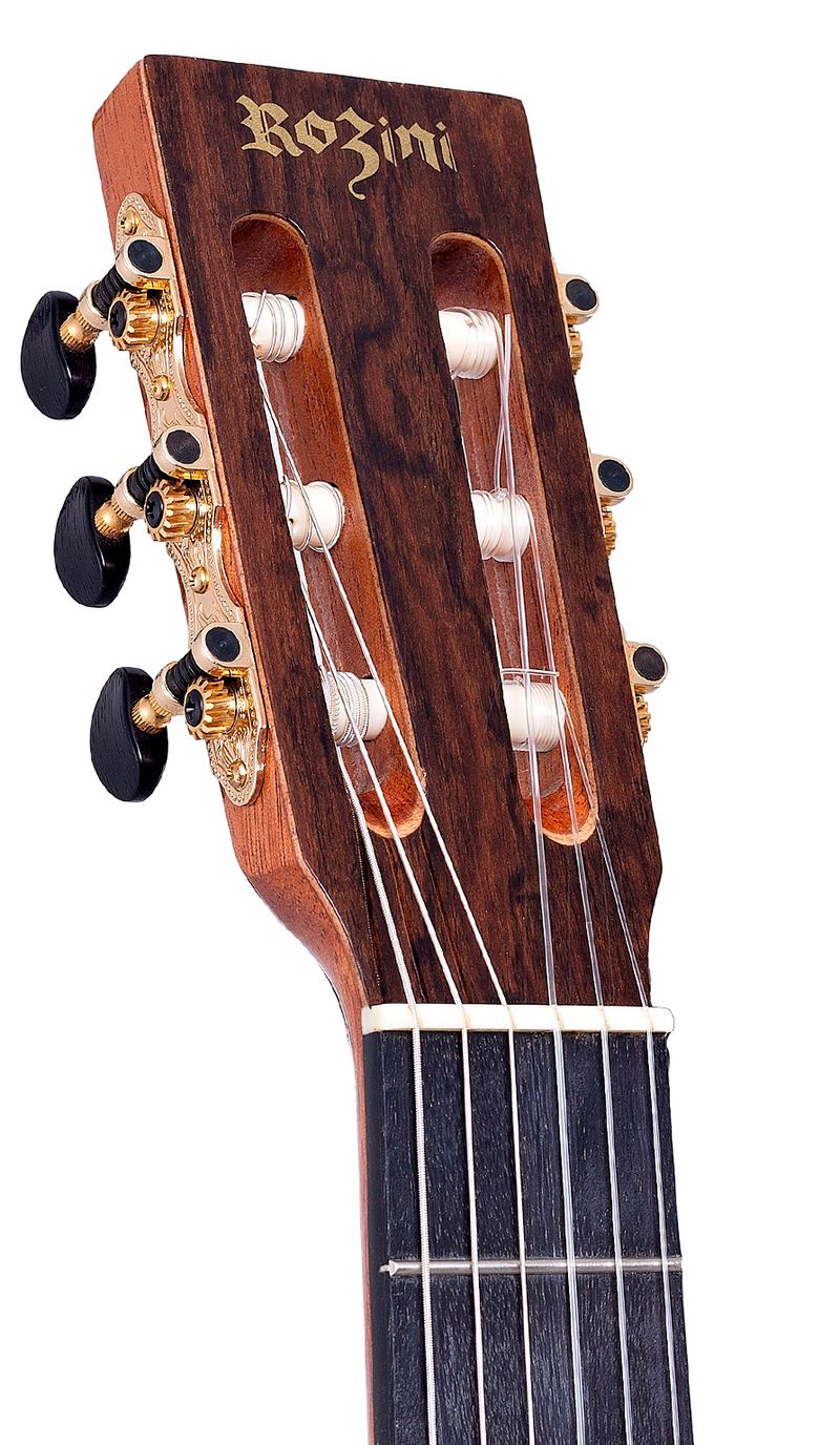 Violao-Premium-Auditorio-com-Cutaway-Nailon-RX621ATNCTLP-Headstock
