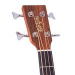 Baixolao-Rozini-Premium-RBX920-Headstock