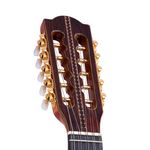 Viola-Assinatura-Tiao-Carreiro-RV181-Headstock