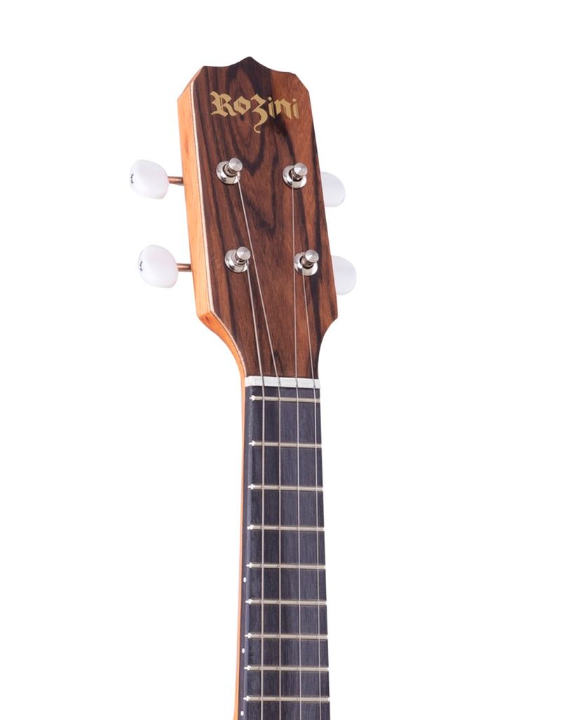 Banjo-Rozini-Estudante-RJ14-Fosco-Headstock