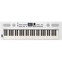 Teclado Roland Gokeys5-WH 61 Teclas
