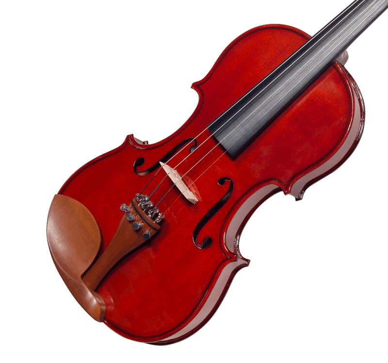 violino-michael-vnm146-44-boxwood_c351