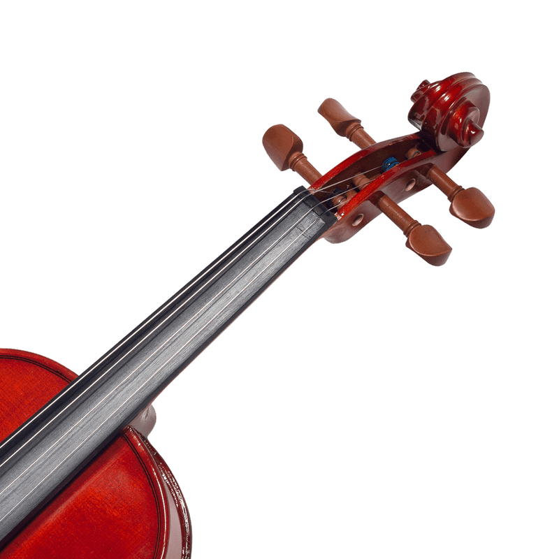 violino-michael-vnm146-44-boxwood_c01a