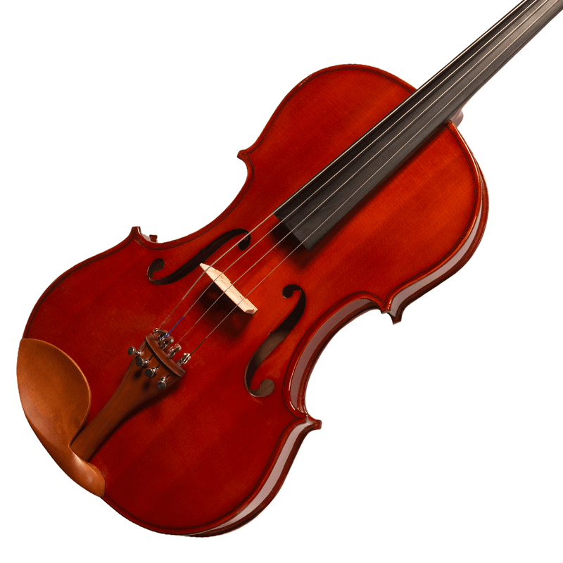 viola-michael-vam106n-boxwood_df25