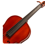 viola-michael-vam106n-boxwood_eafa