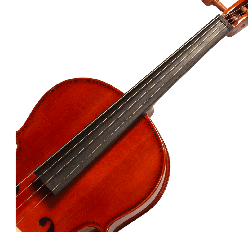 viola-michael-vam106n-boxwood_eafa