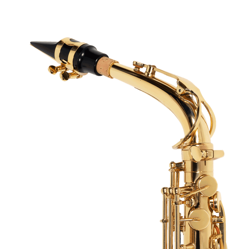 sax-alto-michael-wasm30n_f4e4