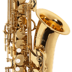 sax-alto-michael-wasm30n_e9eb