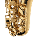 sax-alto-michael-wasm30n_60dc