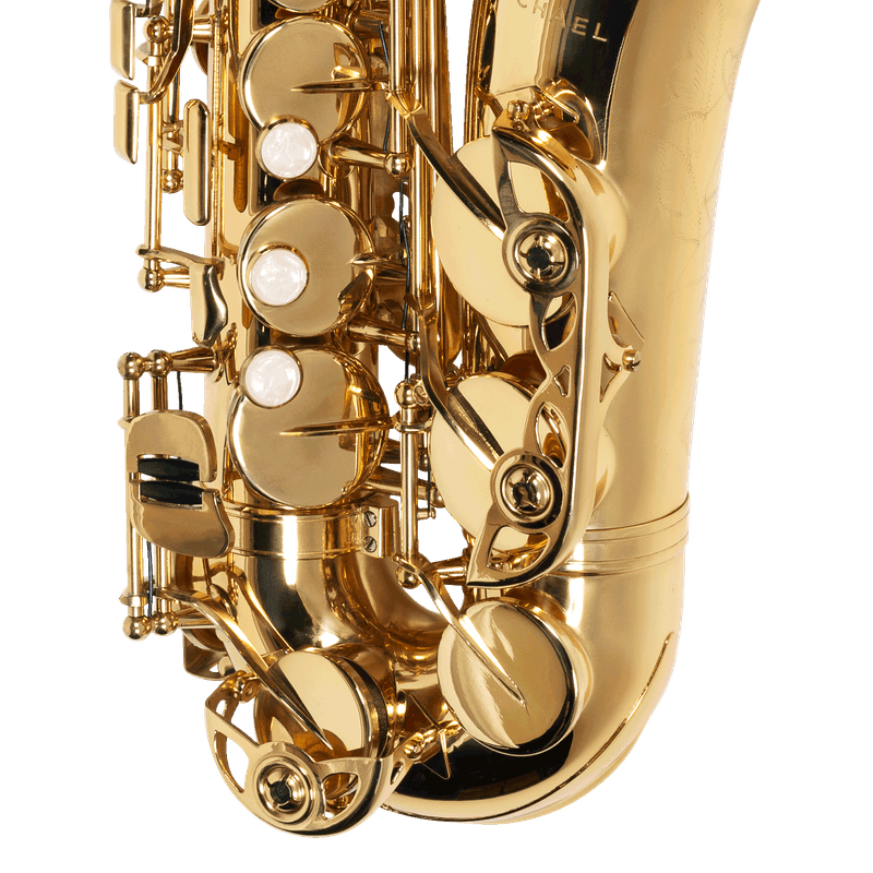 sax-alto-michael-wasm30n_60dc