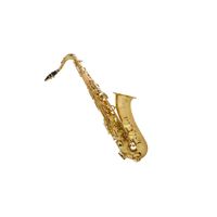 Sax Tenor Shelter SGFT6435L Laqueado Dourado