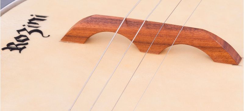 Banjo-Rozini-Studio-RJ10-Brilho-Cavalete