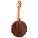 Banjo-Rozini-Studio-RJ10-Brilho-Lateral-e-Fundo
