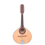 Bandolim-Rozini-Studio-RB10-Fosco