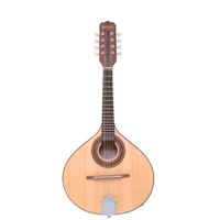 Bandolin Rozini RB10 AC.F.LP Studio Acustico L PTO Fosco