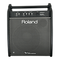 Amplificador de Som Roland PM-200 Showroom